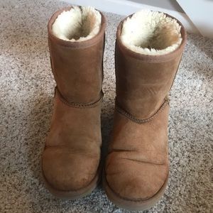Chestnut Uggs